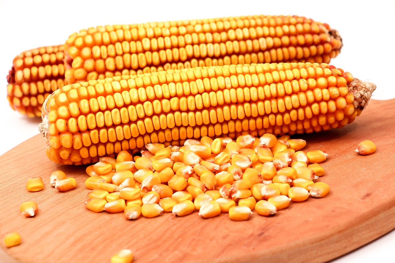 Amido di mais: cos'e e perche e l'alleato gluten free perfetto